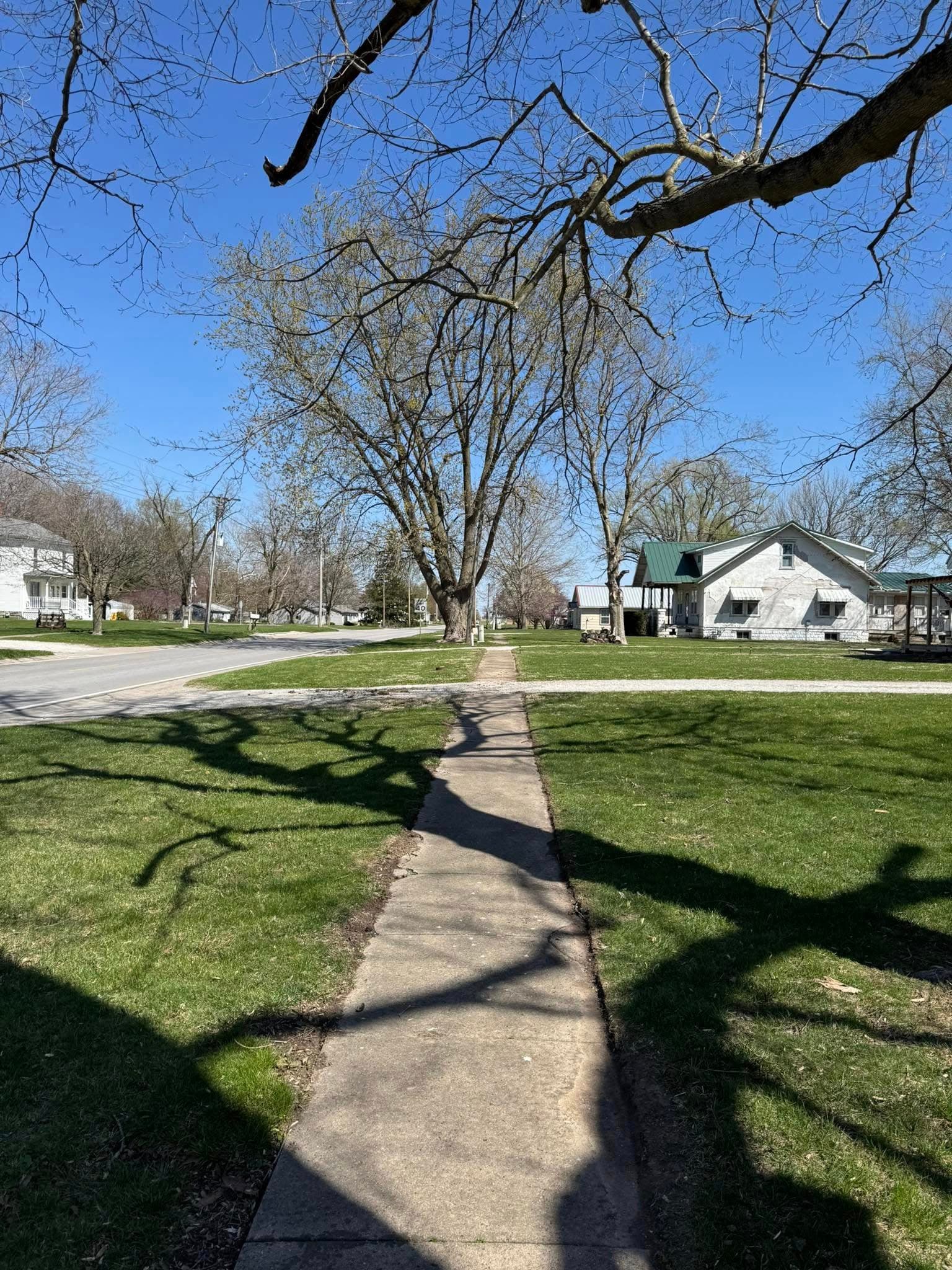 Precision Edging Project 2