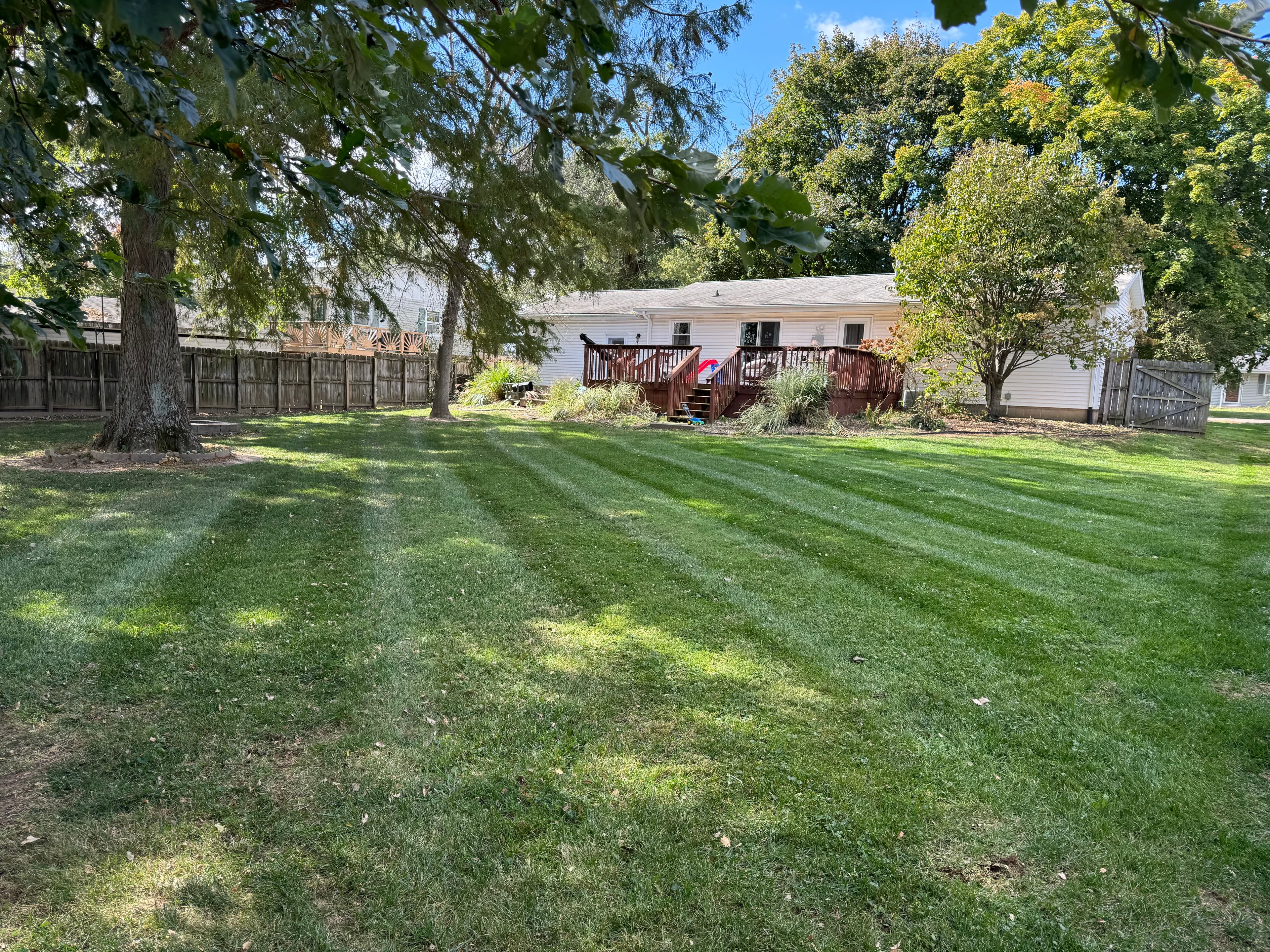 Backyard Transformation